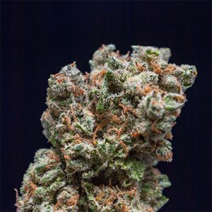Jack Herer Auto Fem-0
