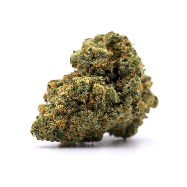 Jack Herer Photo Fem-3204