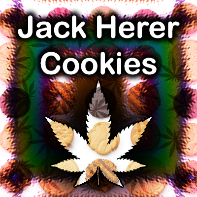 Jack Herer Cookies Photo Fem-4175