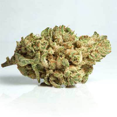 Jack Herer Primate Glue Auto Fem-1565