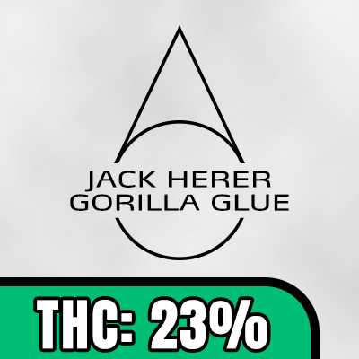 Jack Herer Primate Glue Auto Fem-1567