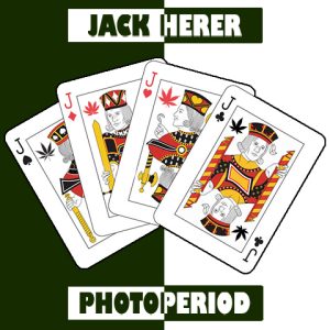 Jack Herer Photo Fem-3934