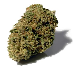 Kosher Photo Fem-0