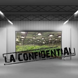 LA Confidential Photo Fem-3063