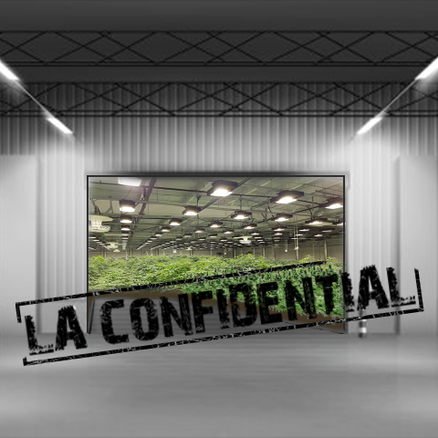 LA Confidential Photo Fem-3063
