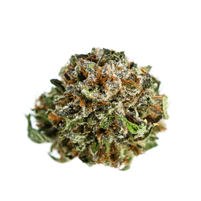 LSD Photo Fem-3992