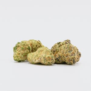 Lava Cake Photo Fem-0