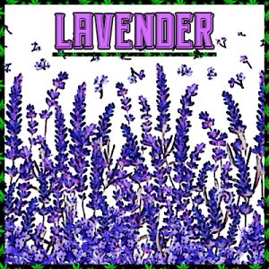 Lavender Photo Fem-2913