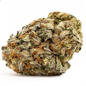 Blood Diamond OG Photo Fem-3912