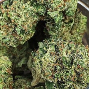 Lemon Tree Photo Fem-4225