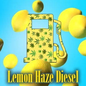 Lemon Haze Diesel Photo Fem-3709
