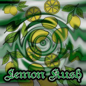 Lemon Kush Photo Fem-3964