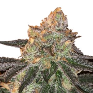 London Pound Cake Photo Fem-0