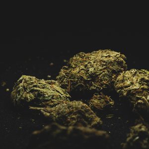 Mango Kush Photo Fem-0