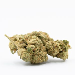 Master Kush Photo Fem-3073