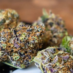 Master Kush Photo Reg-2639