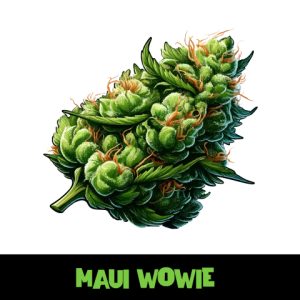 Maui Waui Photo Fem-3987