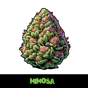 Mimosa Photo Fem-1881