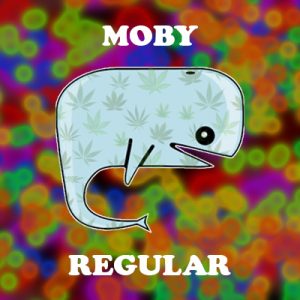 Moby Photo Reg-4128