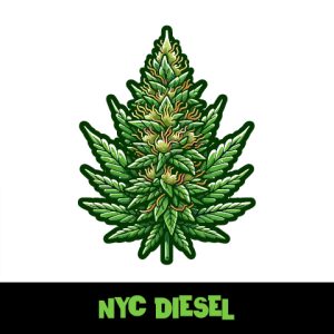 NY Diesel Photo Fem-4161