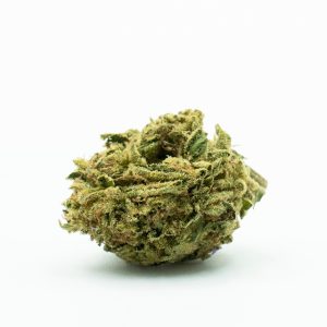 Northern Lights Photo Fem-0