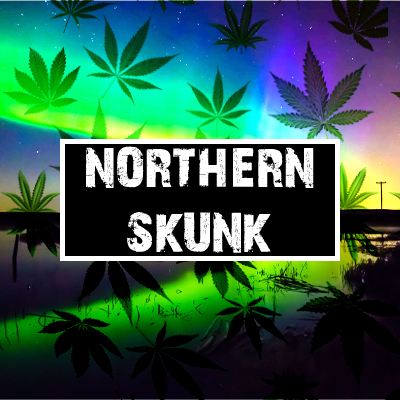 Northern Skunk Photo Fem-3254