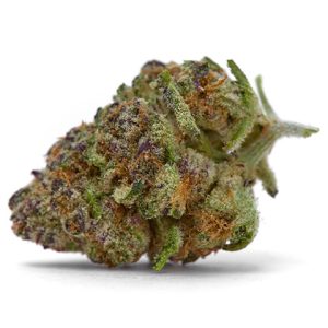 OG Kush Fast Photo Fem-0