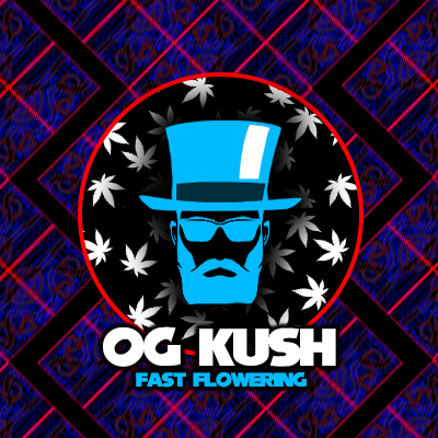OG Kush Fast Photo Fem-4078