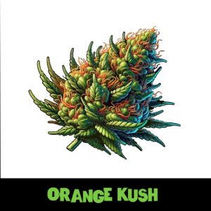 Orange Kush Photo Fem-4241