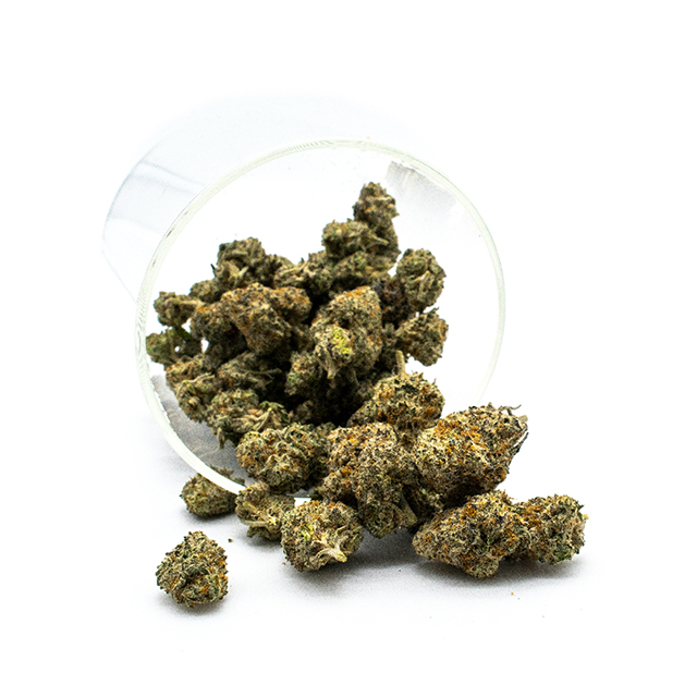 Oh-Are-Ee-Oz Photo Fem-0