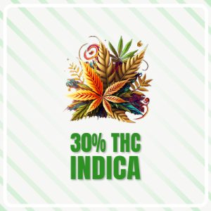 Original Glue Photo Fem-2133