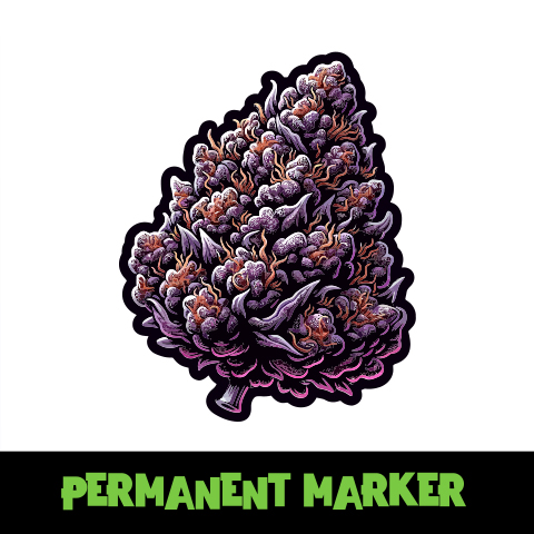 Permanent Marker Photo Fem-2370