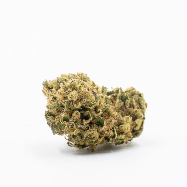 Pineapple Auto Fem-3214