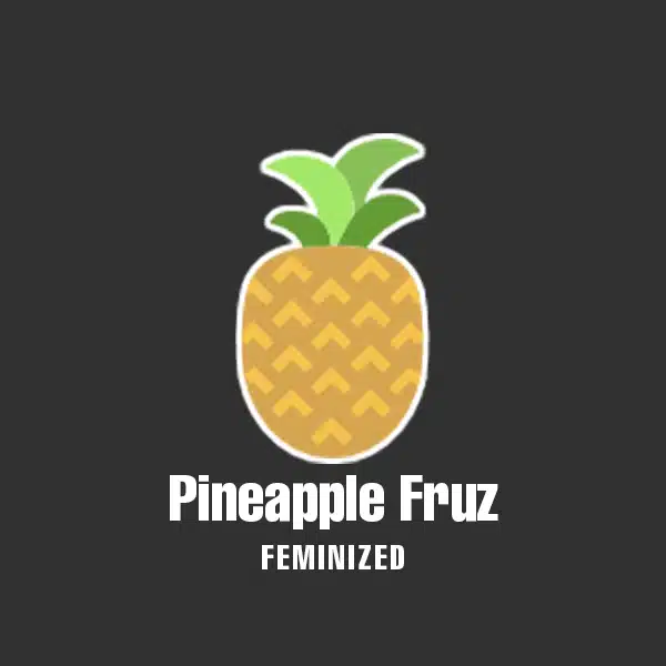 Pineapple Fruz Feminized Seeds
