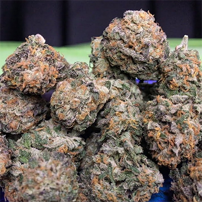 Pink Rosay Auto Fem-1546