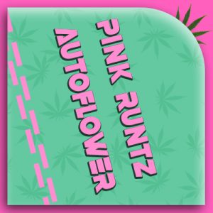Pink Runtz Auto Fem-1477