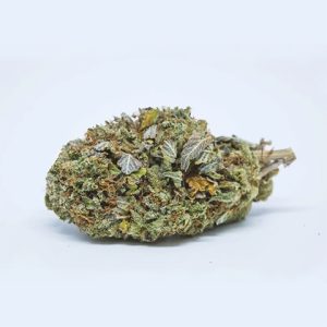 Platinum Bubba Photo Fem-1973