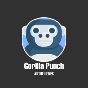 Primate Punch Auto Fem-0