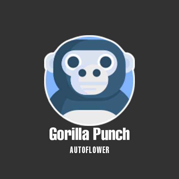 Primate Punch Auto Fem-0