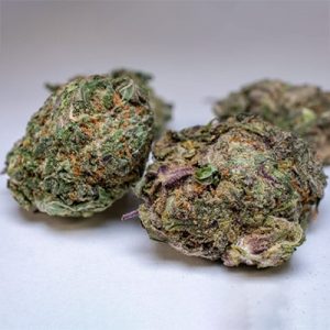 Purple Gelato Auto Fem-1577