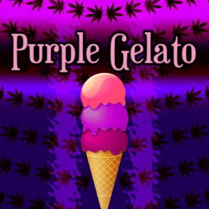 Purple Gelato Photo Fem-4066