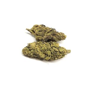 Purple Hawaii Skunk Photo Fem-0