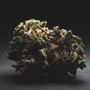 Purple Haze Auto Fem-0