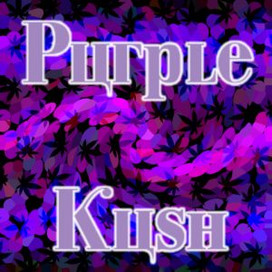 Purple Kush Photo Fem-2834