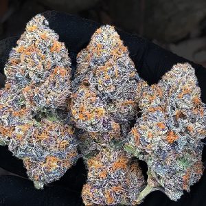 Purple Lemonade Photo Fem-0