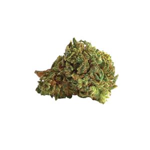 Purple Mazar Photo Fem-0