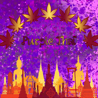 Purple Thai Photo Reg-2648