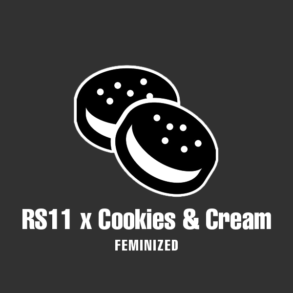 RS11 x Cookies & Cream Photo Fem-0