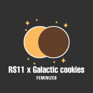 RS11 x Galactic Cookies Photo Fem-0