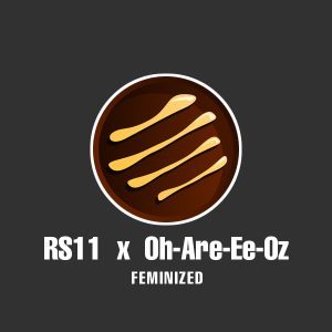 RS11 x Oh-Are-Ee-Oz Photo Fem-0
